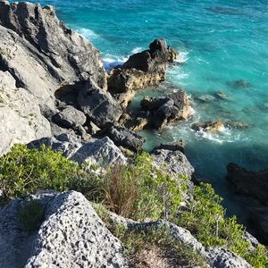 Meet your Posher, Michele